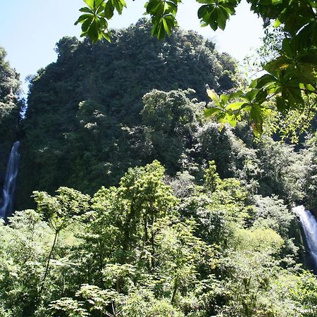 Natty Tropical Valley Roseau Bagian luar foto