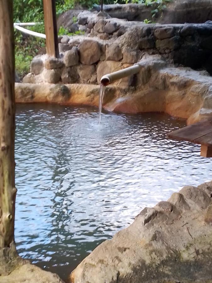 Natty Tropical Valley Roseau Bagian luar foto