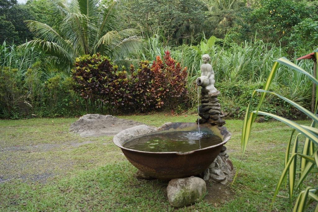 Natty Tropical Valley Roseau Bagian luar foto