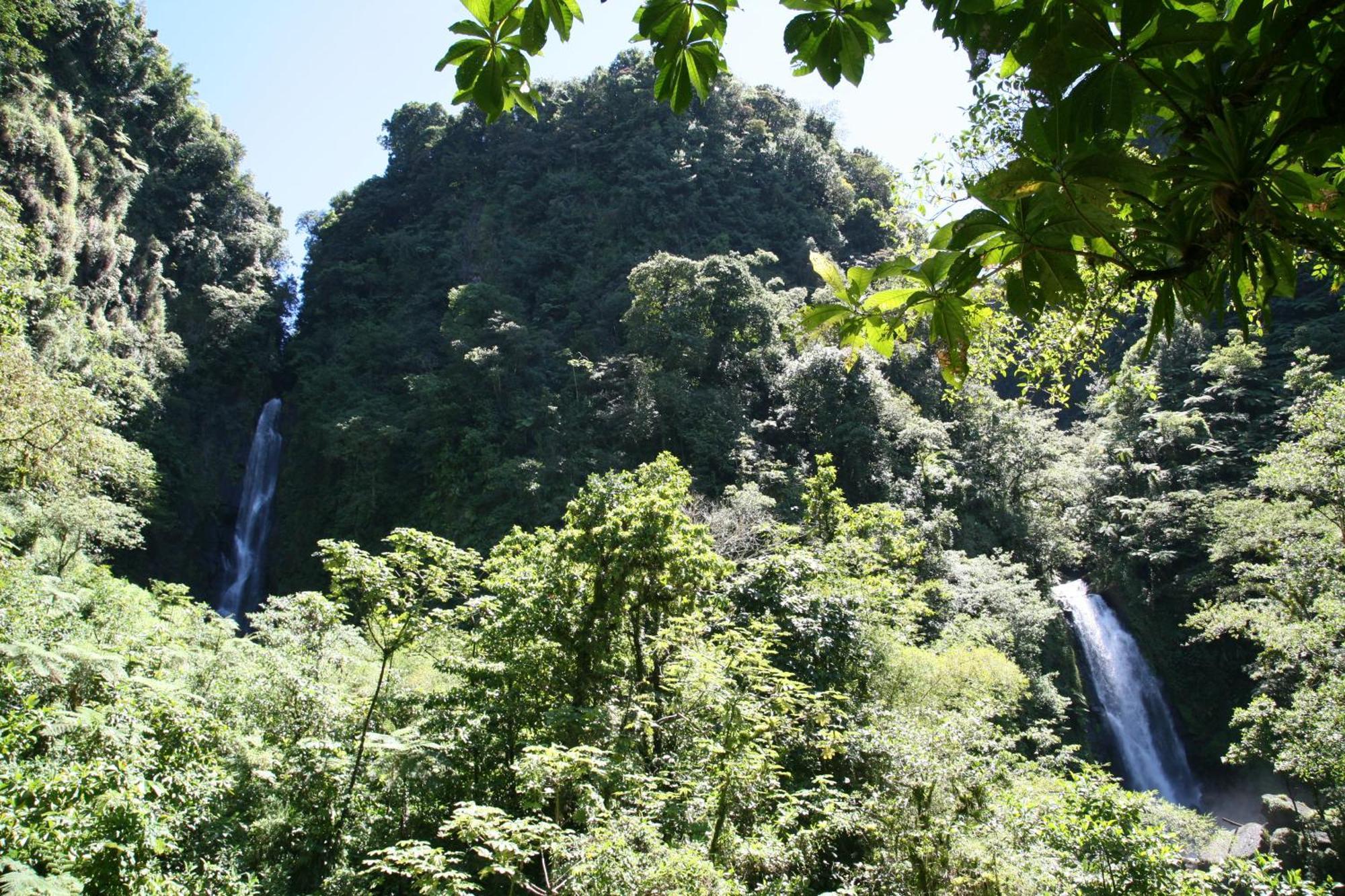 Natty Tropical Valley Roseau Bagian luar foto