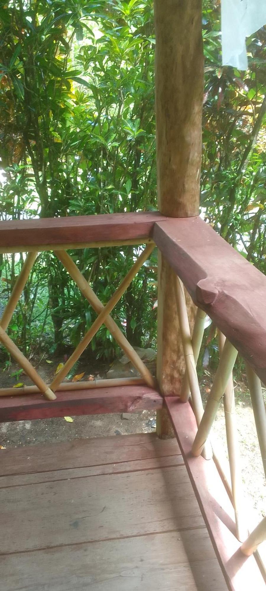Natty Tropical Valley Roseau Bagian luar foto
