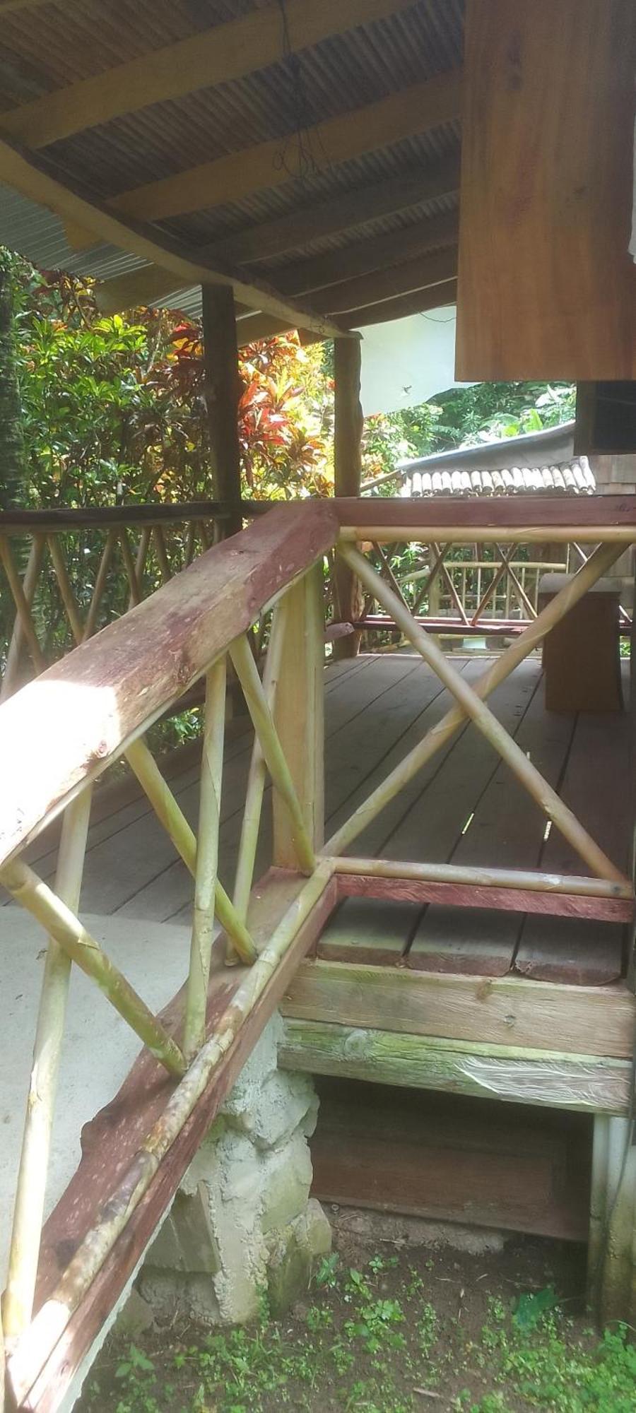 Natty Tropical Valley Roseau Bagian luar foto