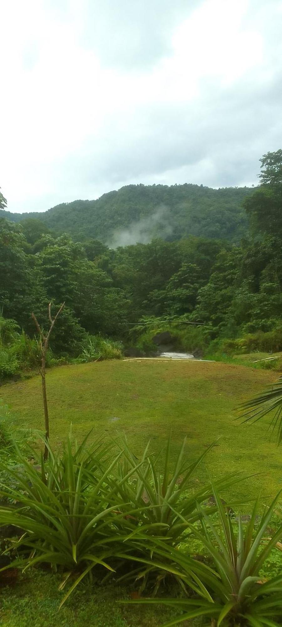 Natty Tropical Valley Roseau Bagian luar foto