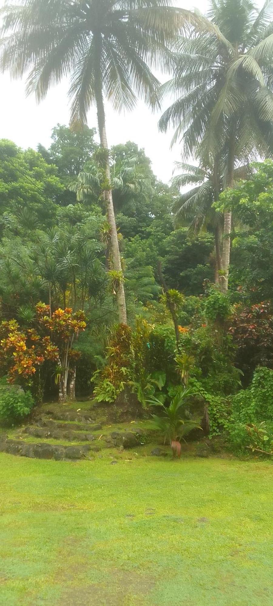 Natty Tropical Valley Roseau Bagian luar foto