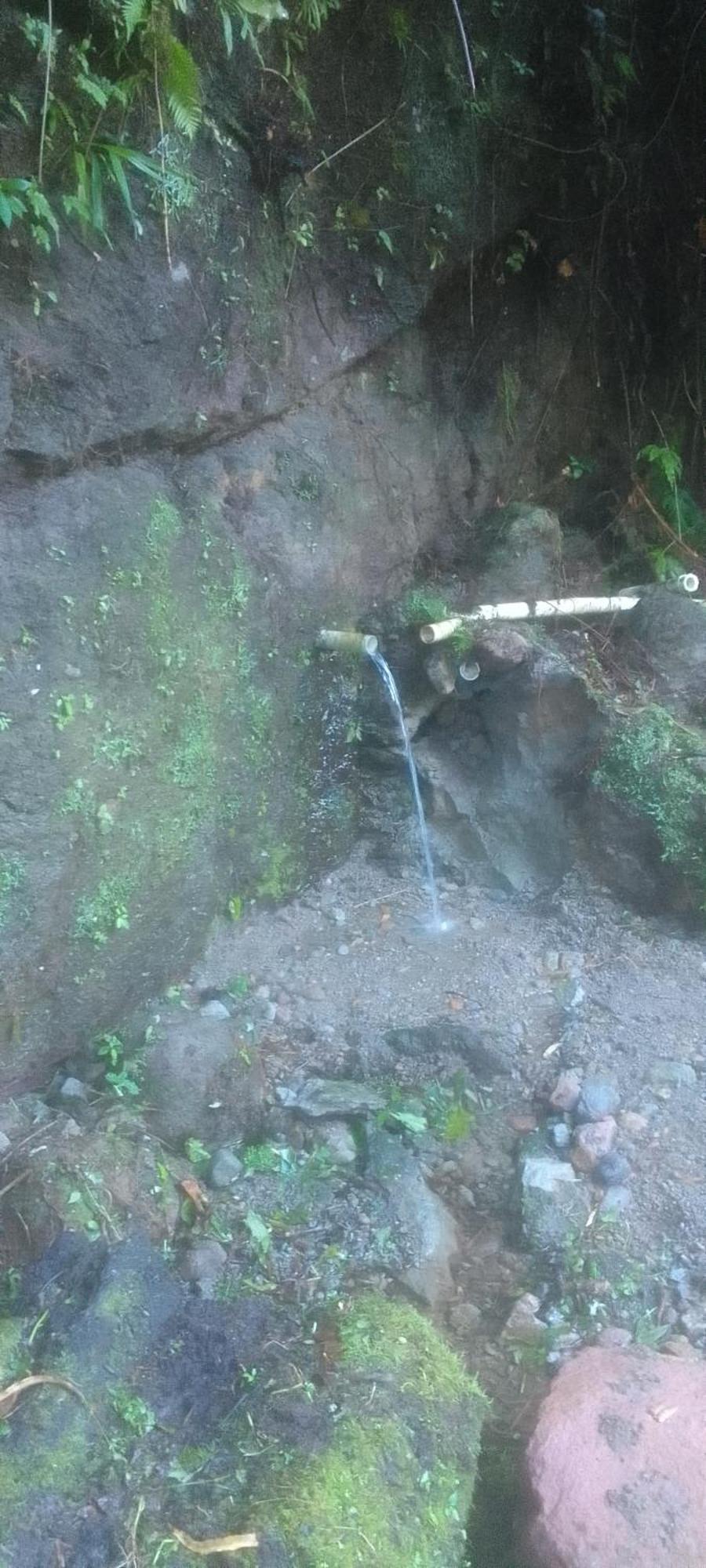 Natty Tropical Valley Roseau Bagian luar foto