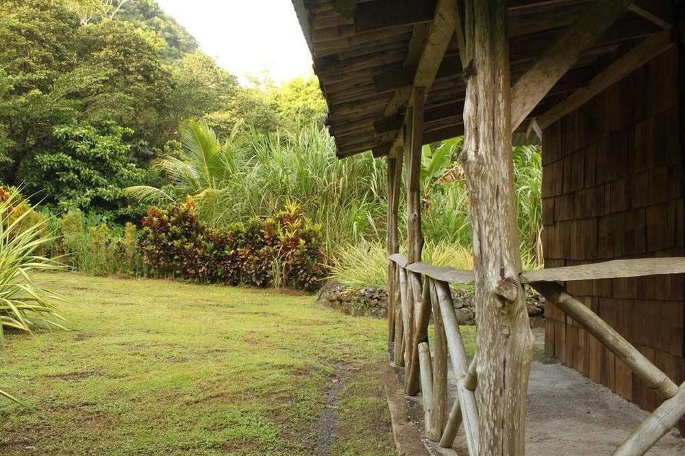 Natty Tropical Valley Roseau Bagian luar foto