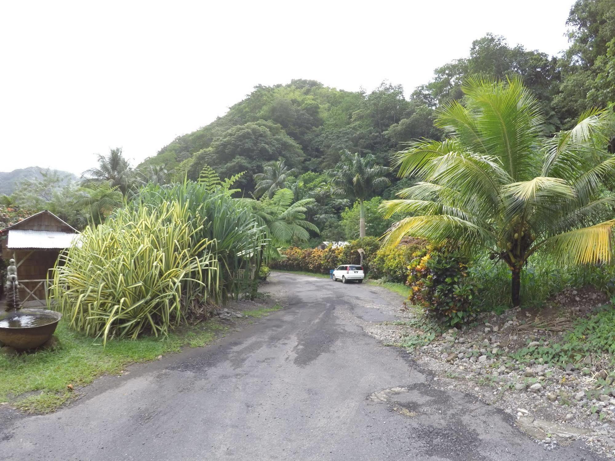 Natty Tropical Valley Roseau Bagian luar foto